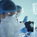 Implementing Technology for Healthcare Process Improvement: Strategies and Techniques